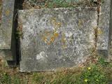 image of grave number 151731